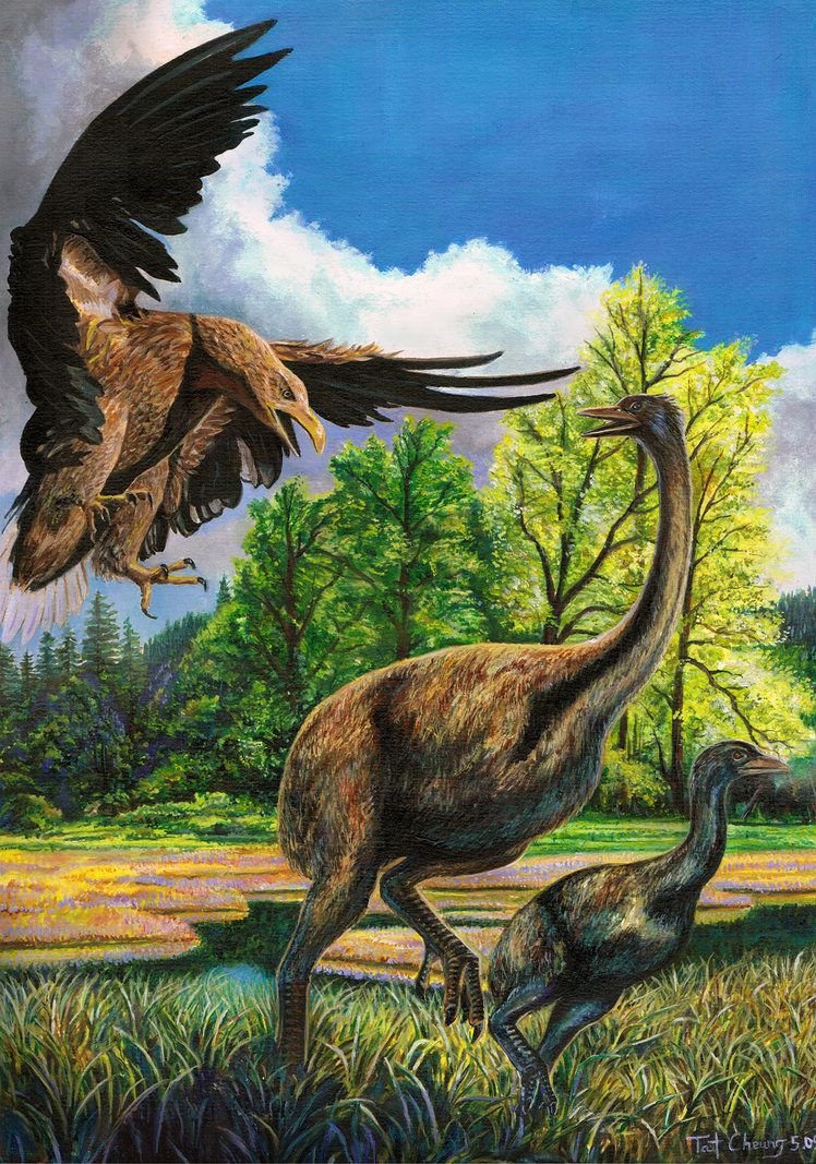 Вымершие летающие птицы