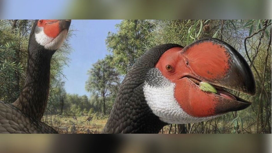 Титанис Гасторнис