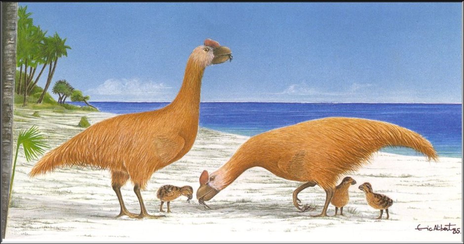 Фороракосов – титанисов Уоллера