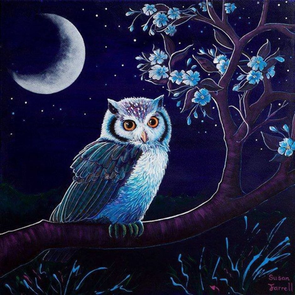 Ночная Сова.(Night Owl).1993