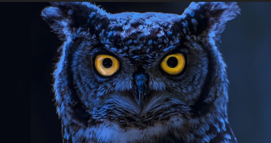 Найт Оул / ночная Сова (Night Owl)