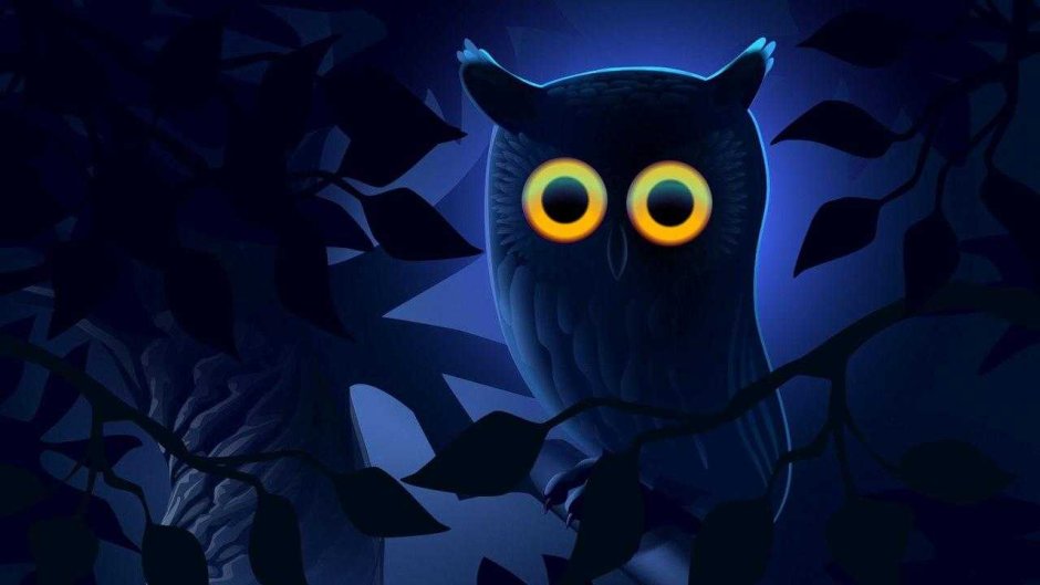 Owl ава