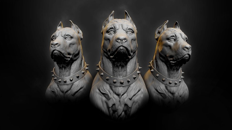 Кане Корсо черный