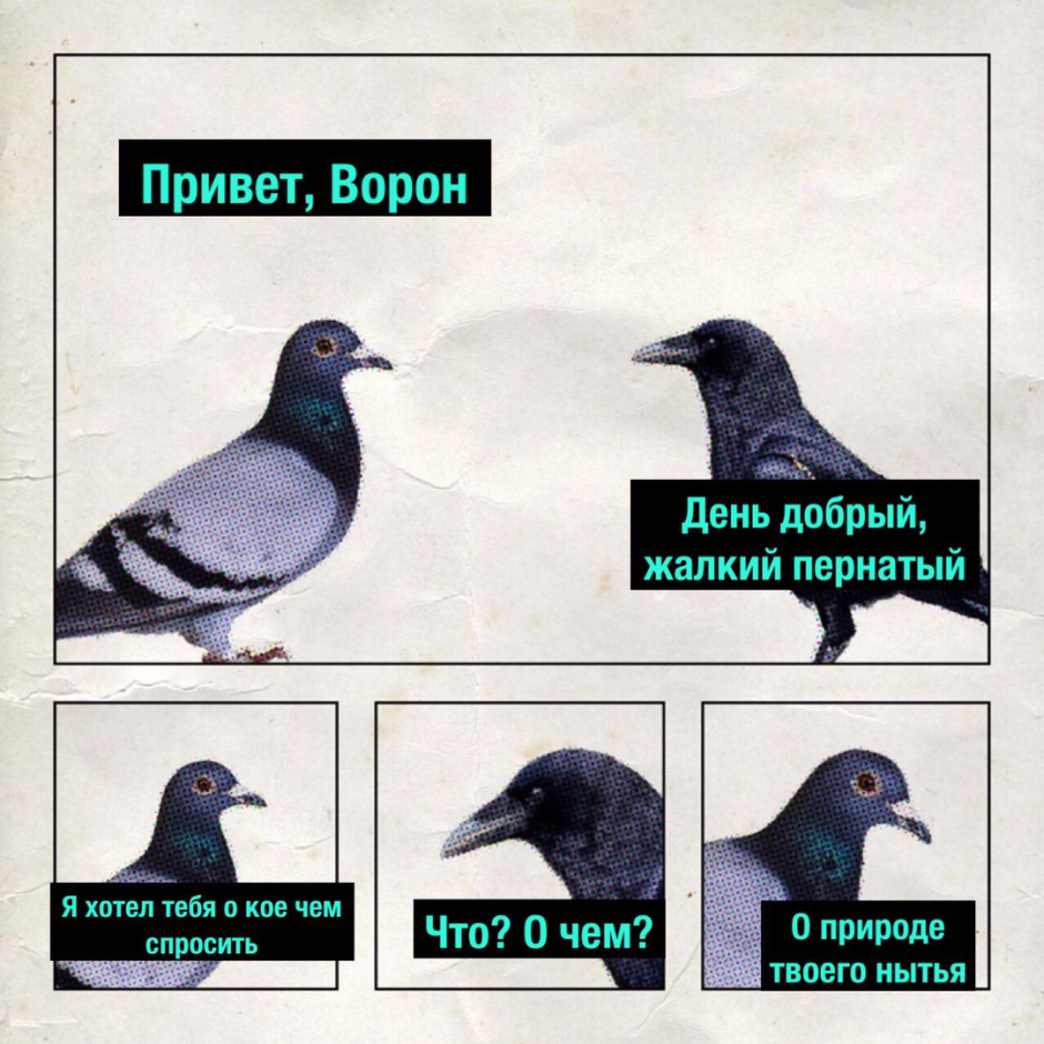 Смесь голубя и вороны