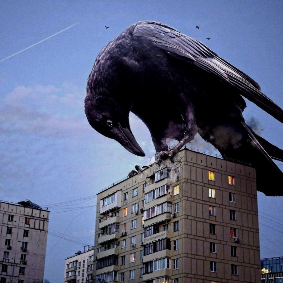 Мем с вороной и Воробьем