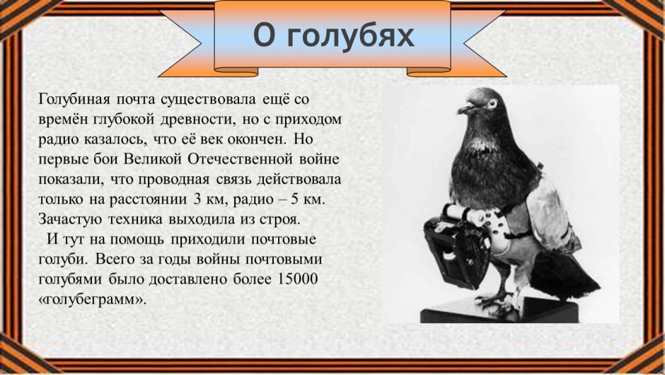 Мем с вороной и Воробьем