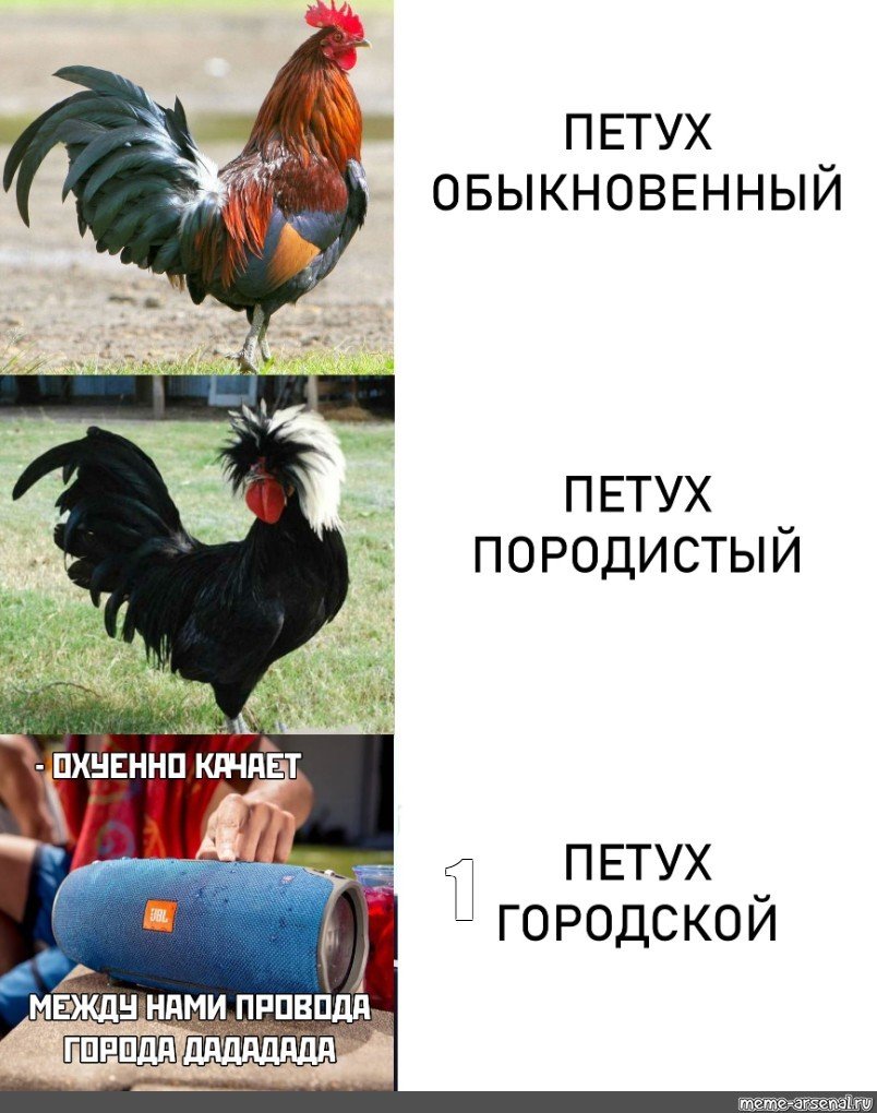 Смешные мемы с петухами
