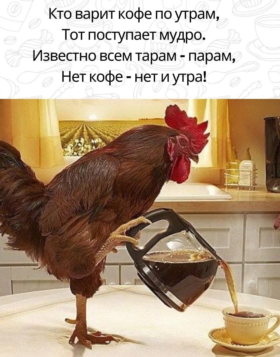 Смешной петух