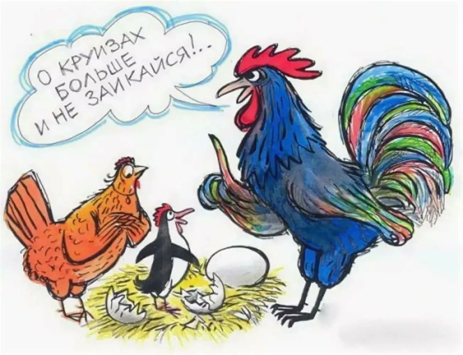 Петух прикол