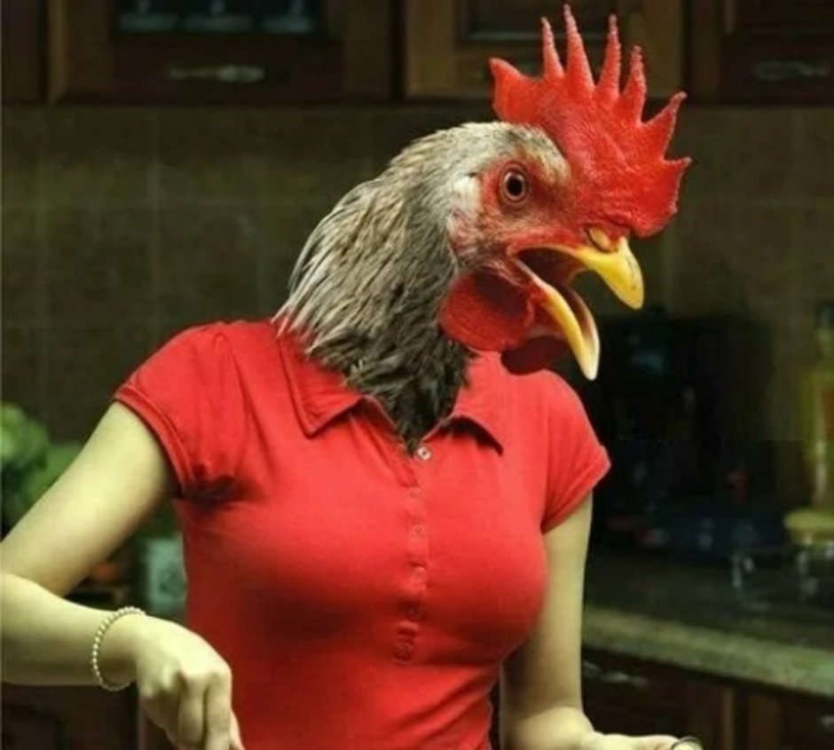 Курица безмозглая