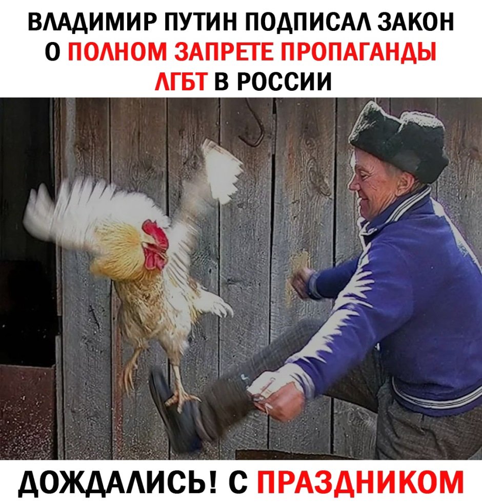 Дед пинает петуха