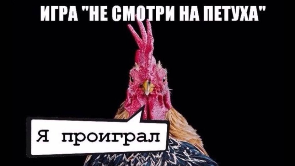 Не смотри на петуха проиграл