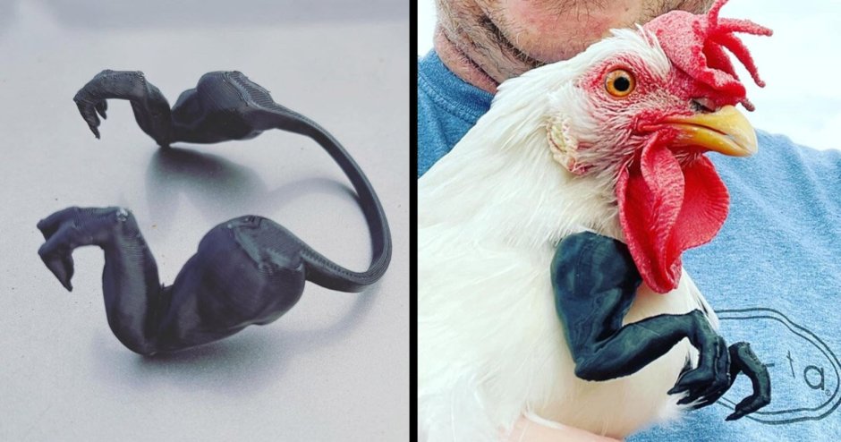 Петух с руками