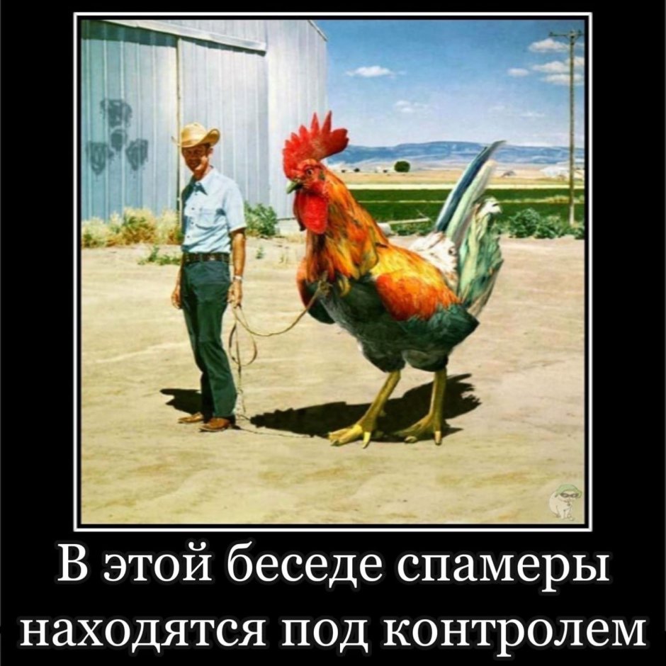Петух демотиватор