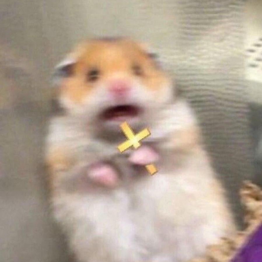 Хомячок испугался