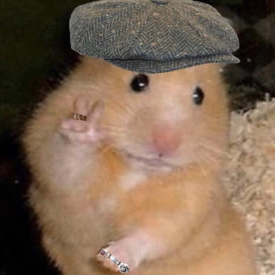 Хомяк с двумя пальцами