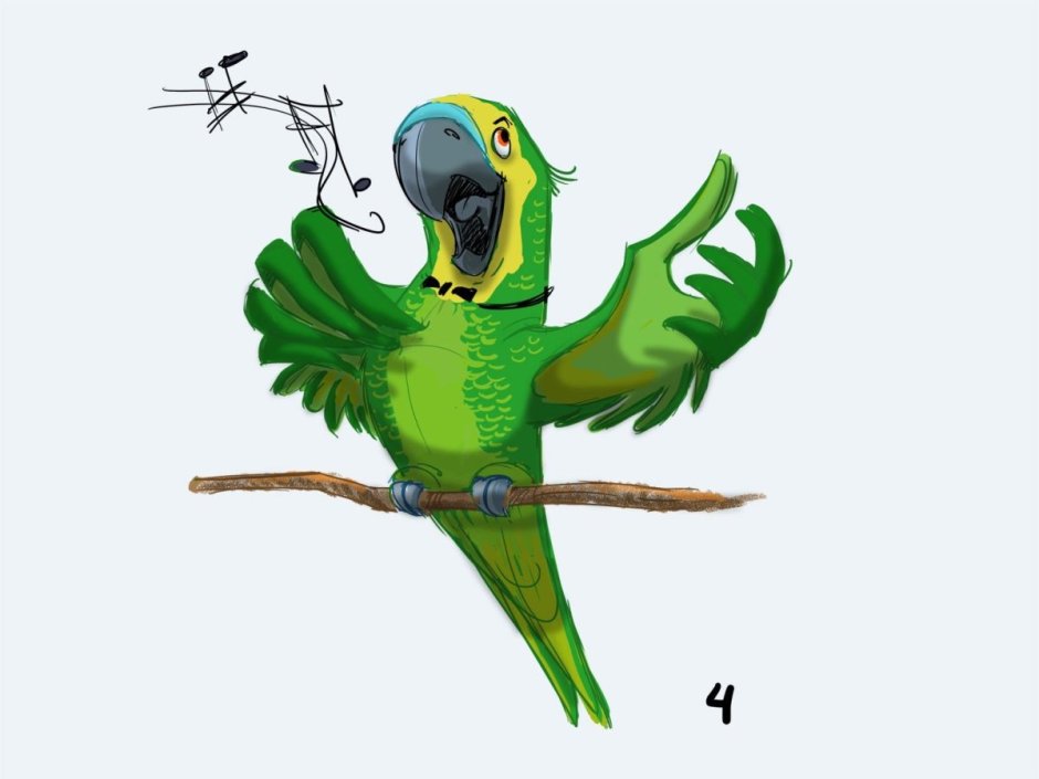 Попугай рисунок