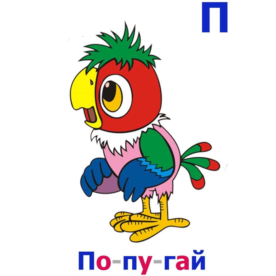 Попугай Кеша