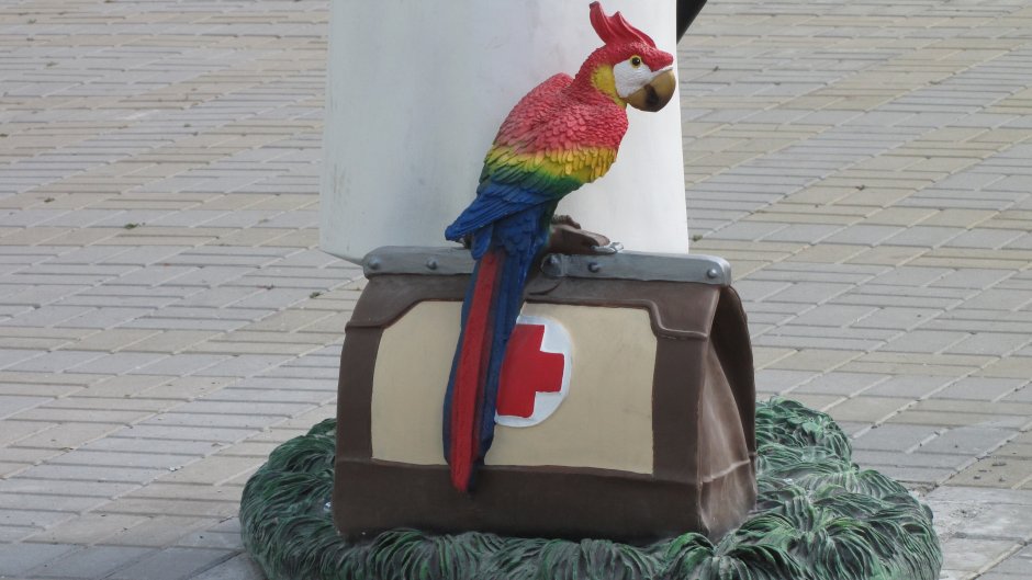 Попугай Карудо