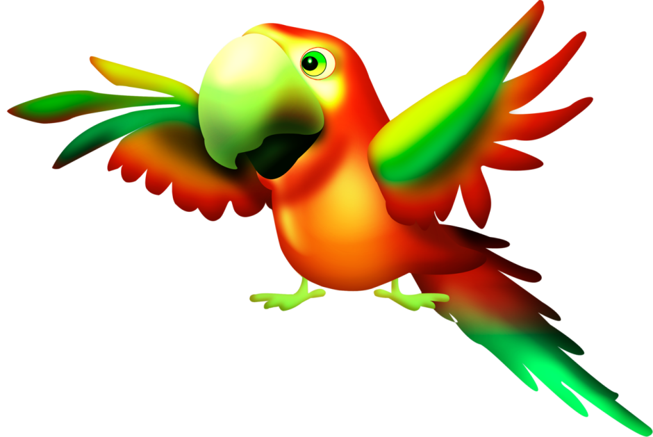 Попугай для детей на прозрачном фоне