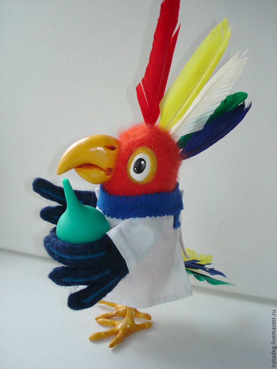 Попугай Карудо Айболит