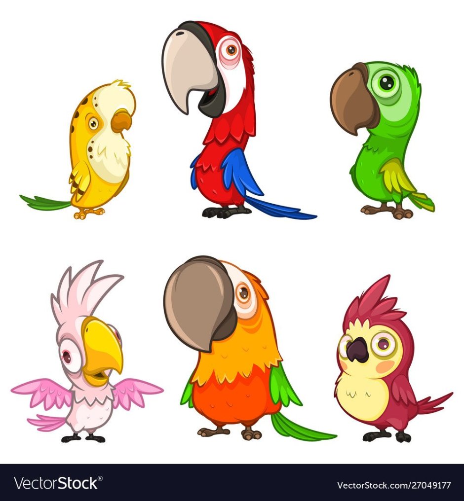 Попугаи цветные мультяшные