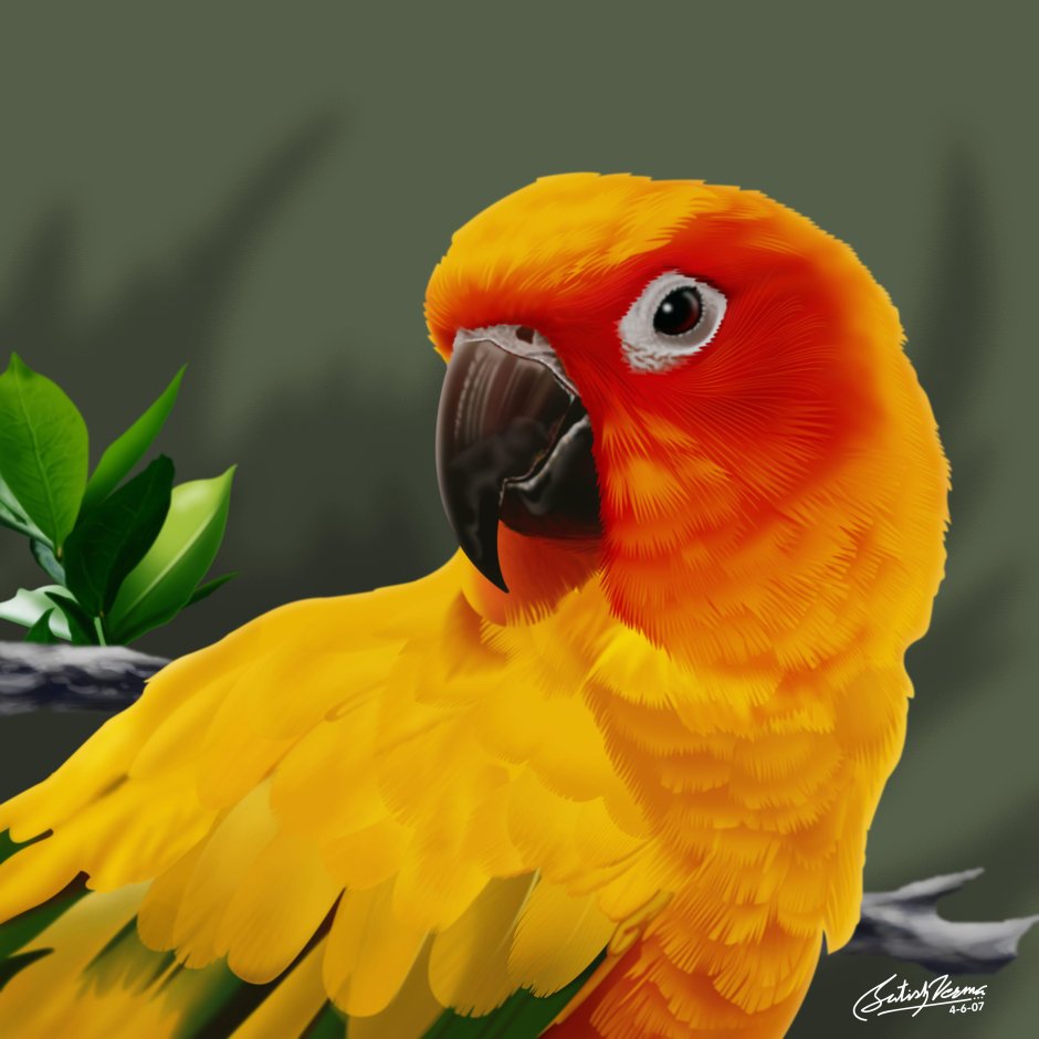 Оранжевый попугай