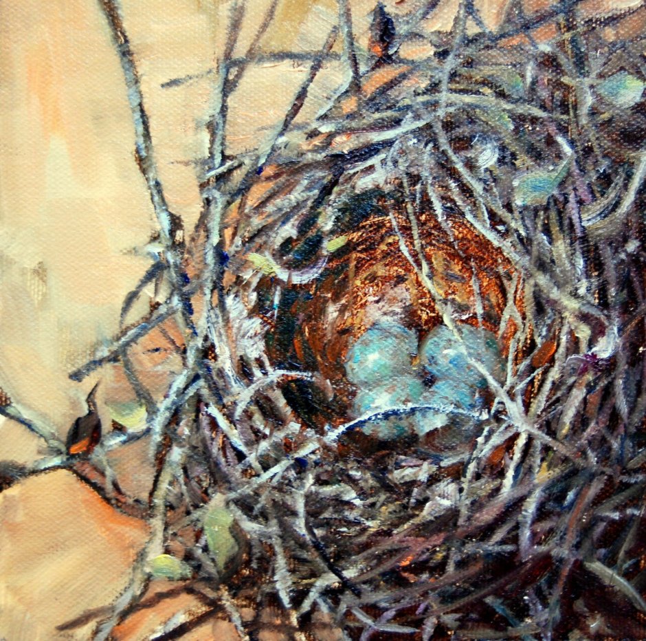 Проект гнезда