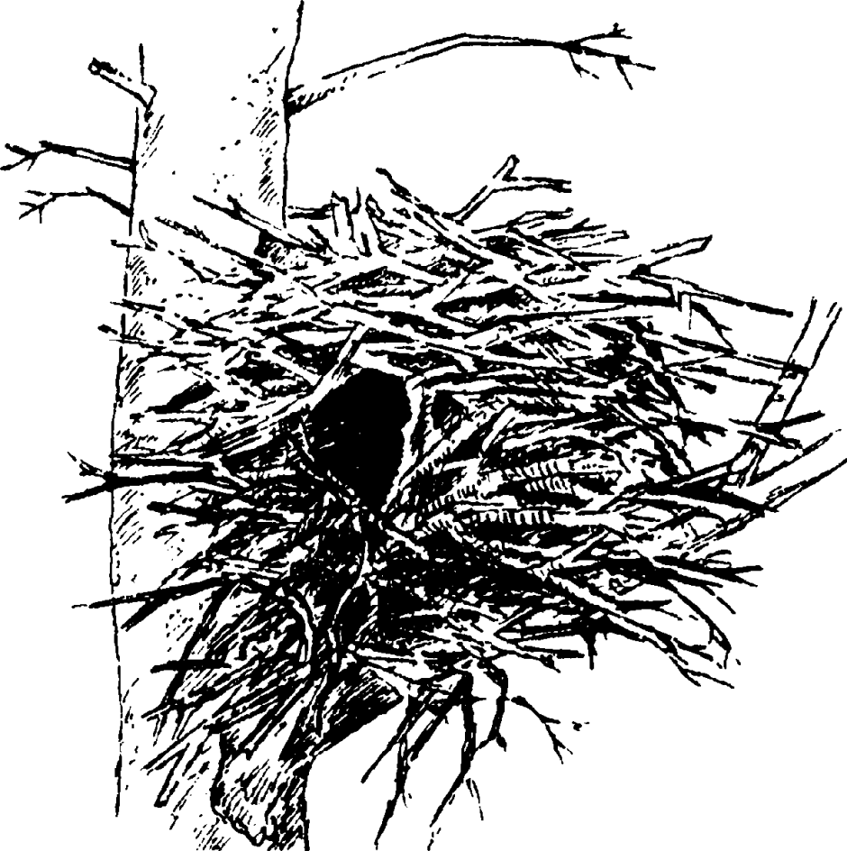 Гайно белки