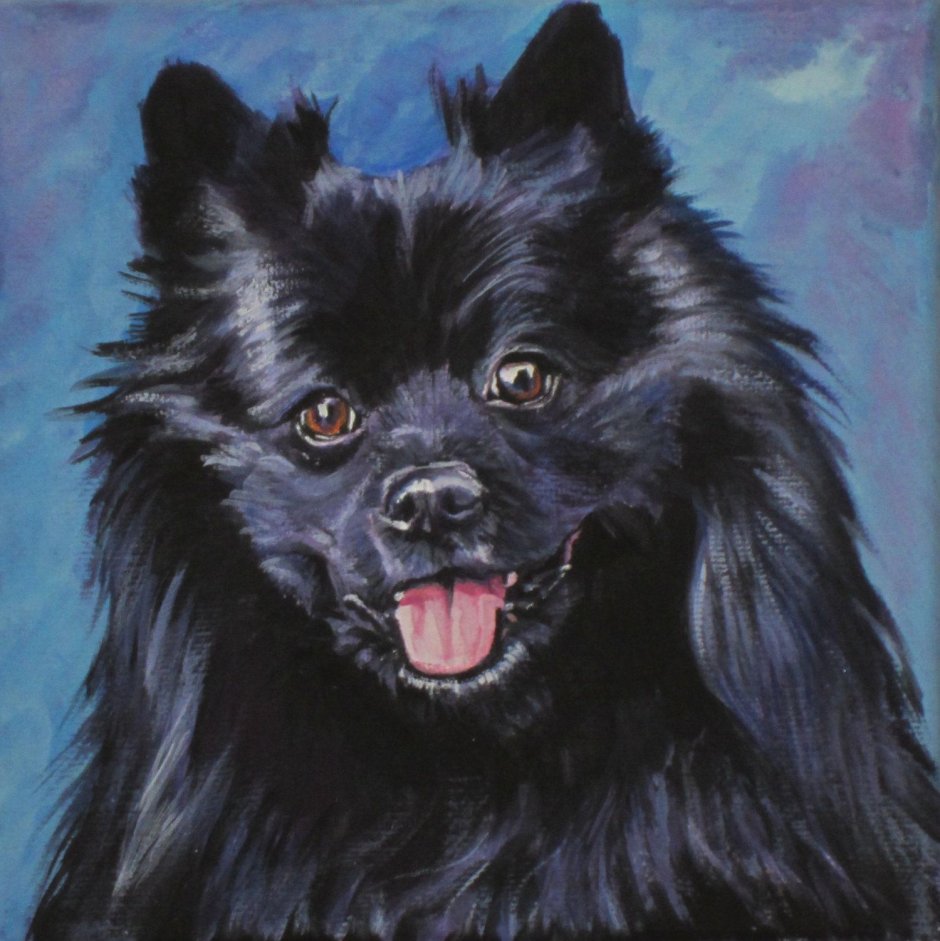 Карликовый самоед