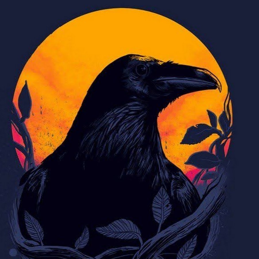 Рыжий ворон