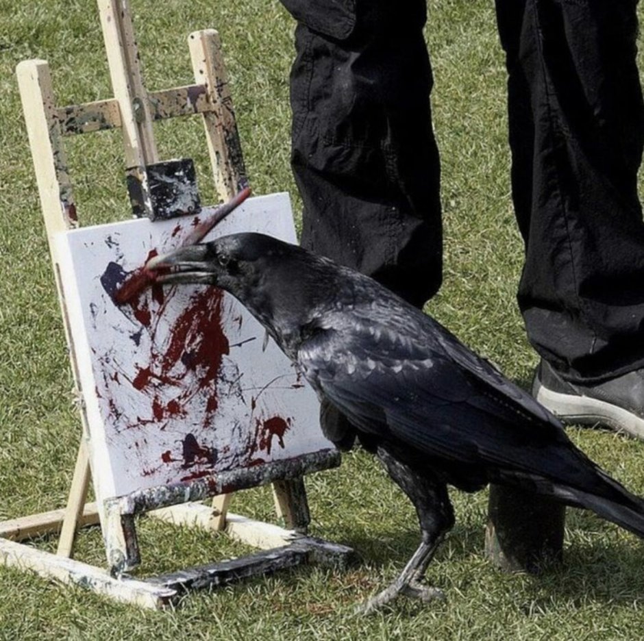 Ворон аватар