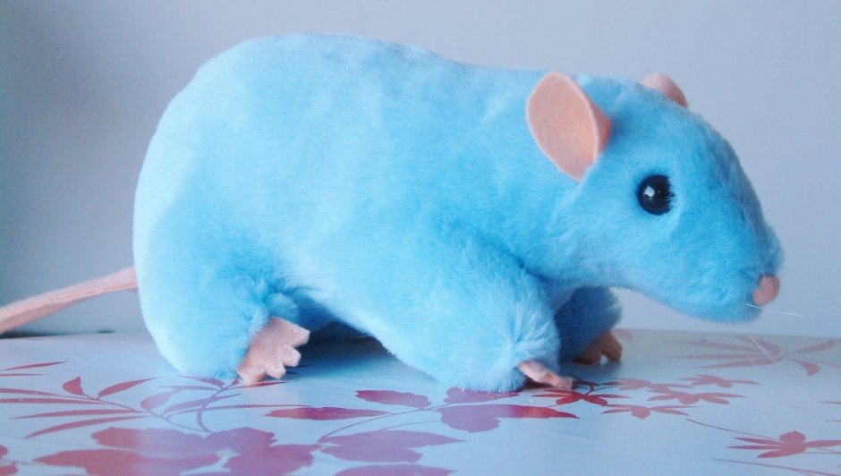 Крысята Дамбо голубая норка
