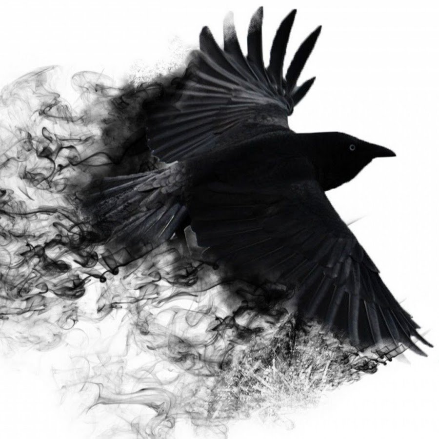 Птицы Крыма чёрный Дрозд