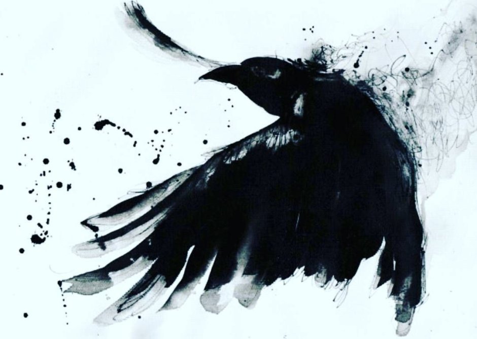 Американская лысуха