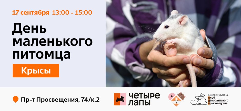 Крысиные новости кредитные специалисты