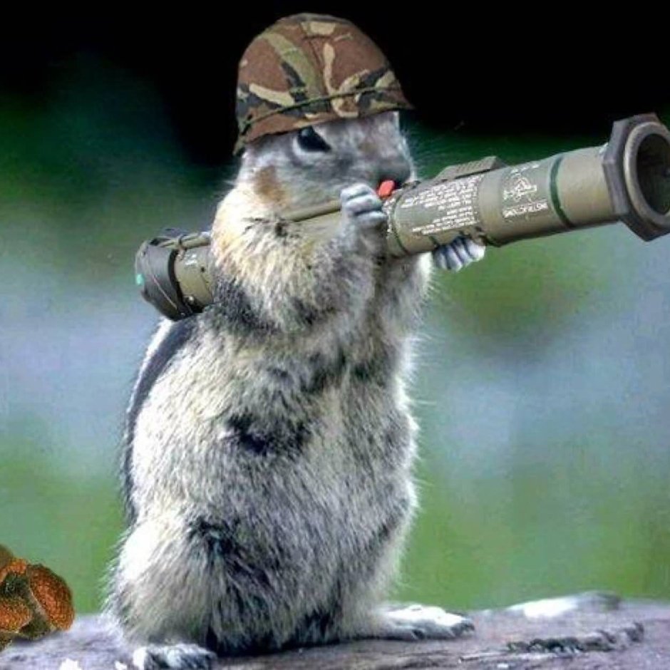Боевой суслик