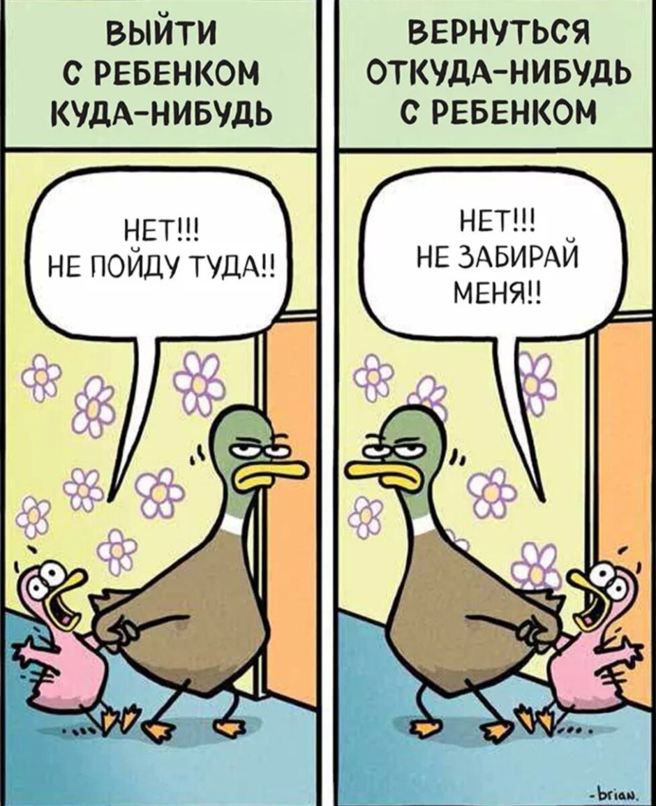 Карикатуры на уток