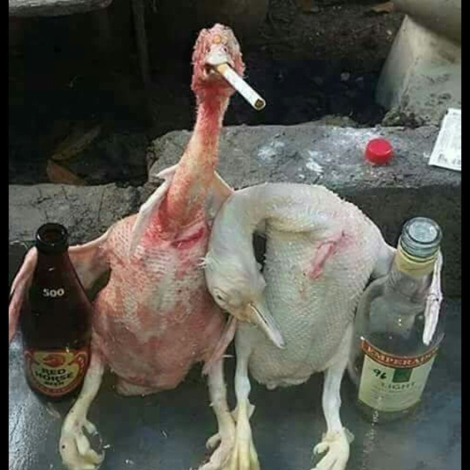Упоротый Гусь
