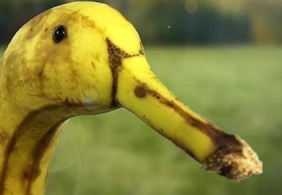 Грязный Гусь
