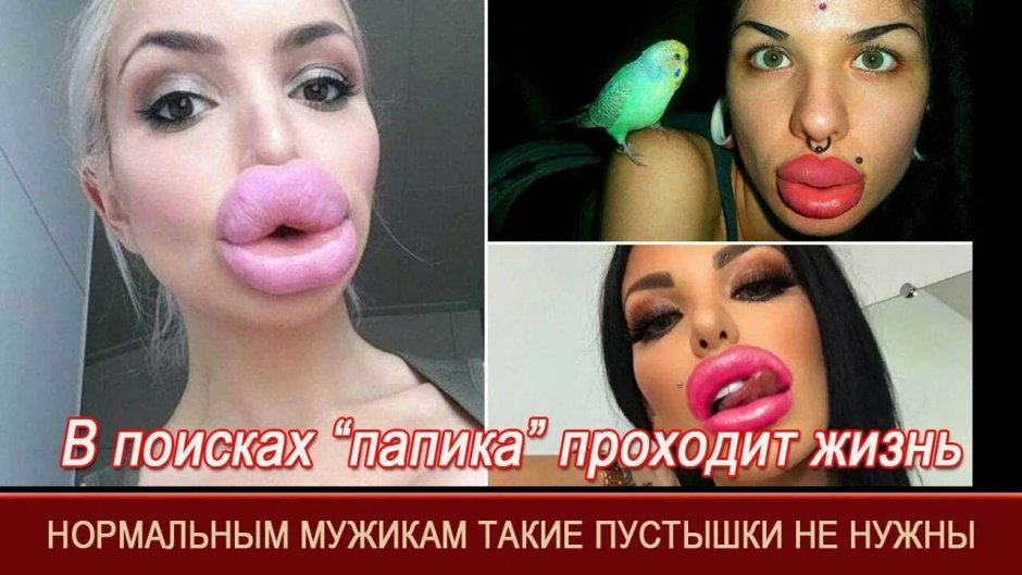 Милые гуси