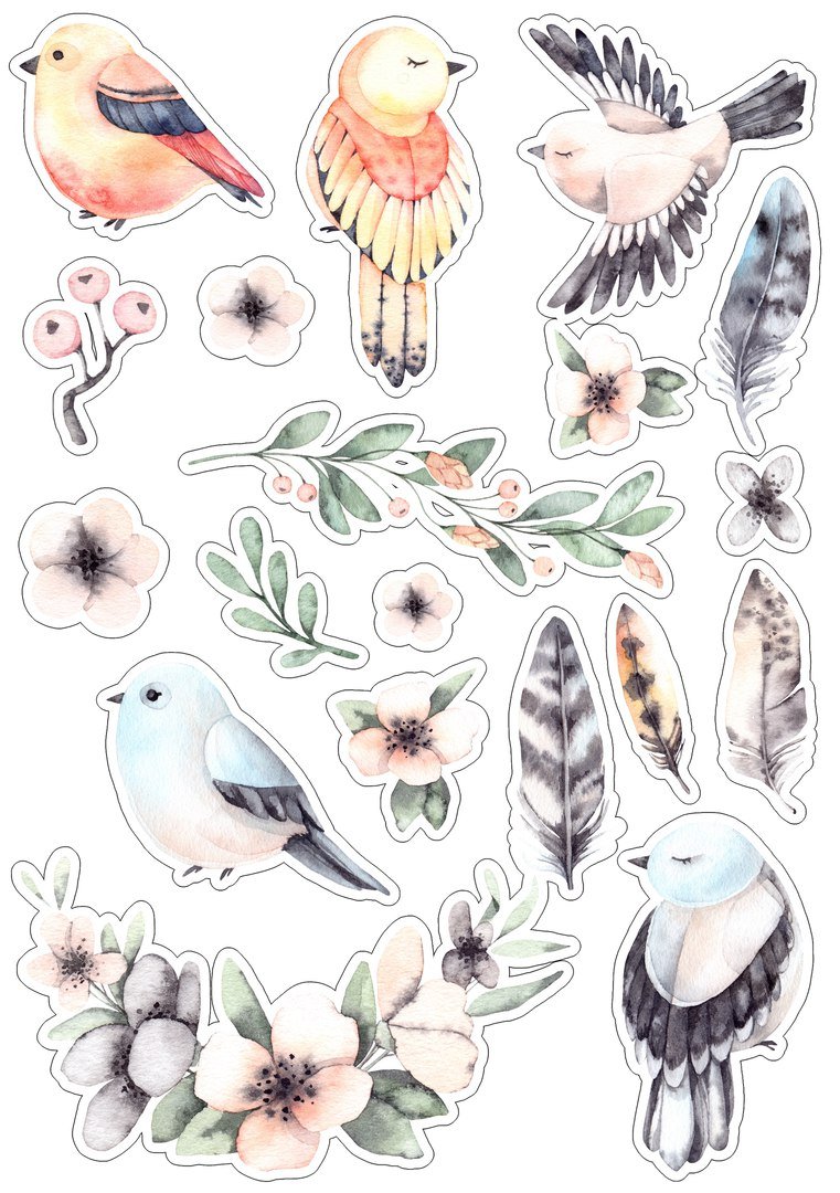 Отражение птиц в воде