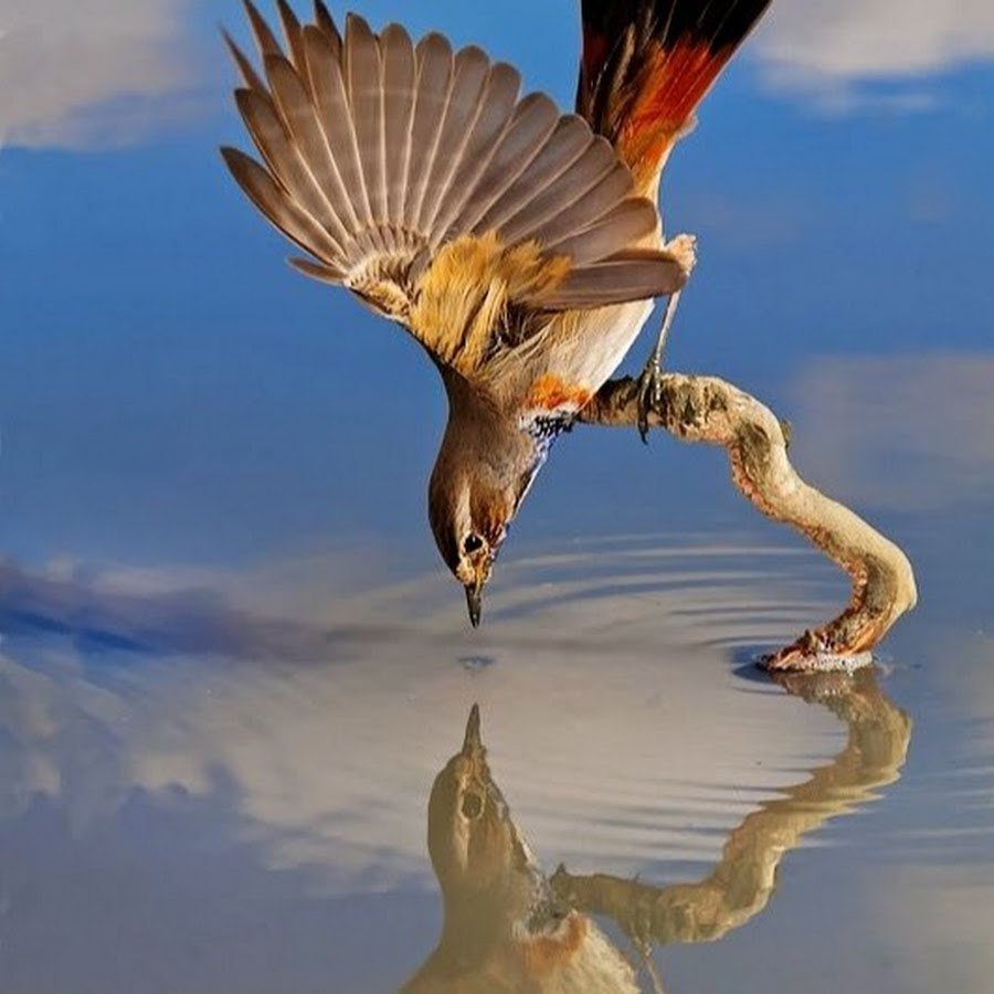 Ольхон сердце Байкала зима