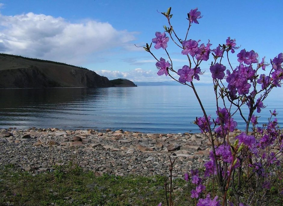 Байкал Ольхон шаманы