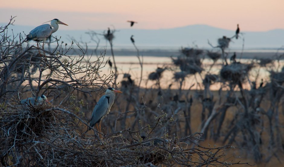 Остров Ольхон Шаманка