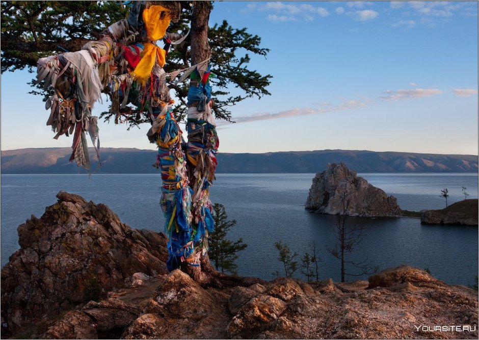 Фауна Телецкого озера