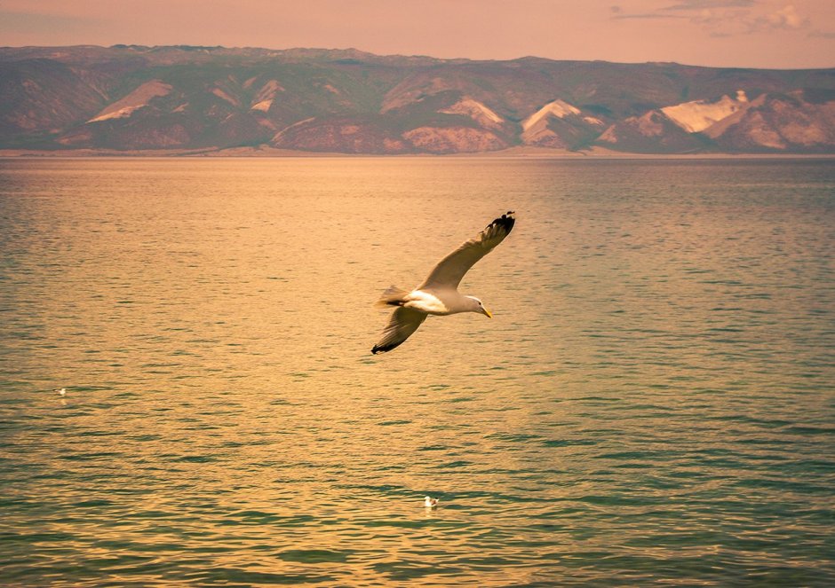 Даши Намдаков скульптура на Ольхоне
