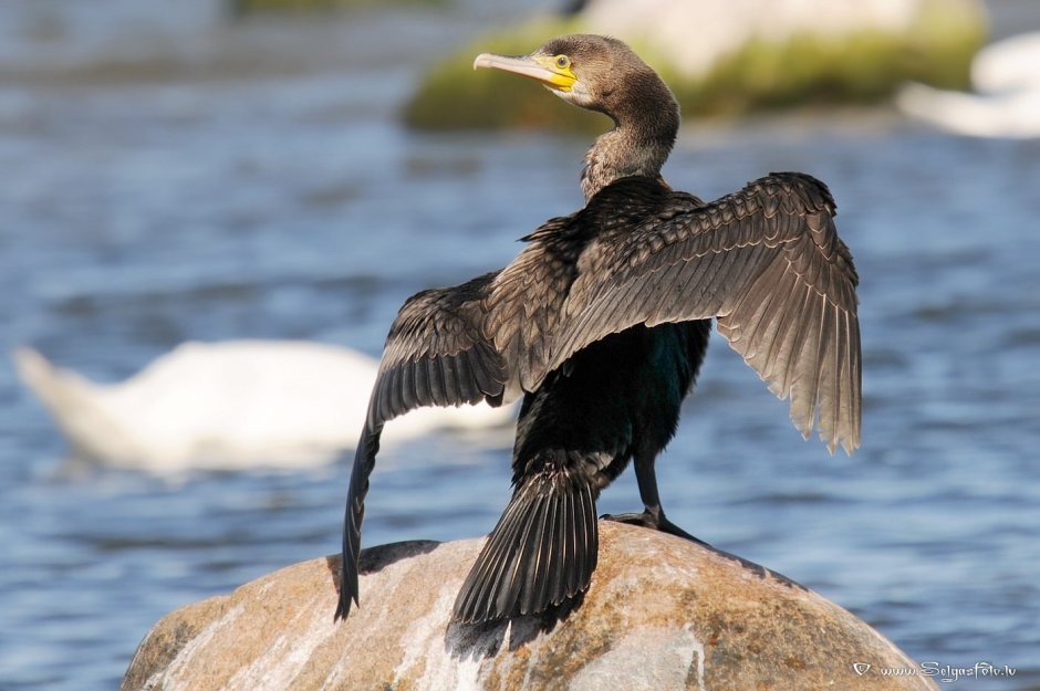 Ольхон панорама