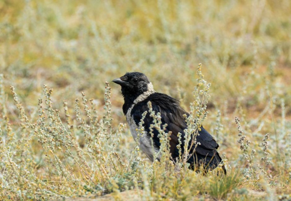 Закат Байкал Максимиха