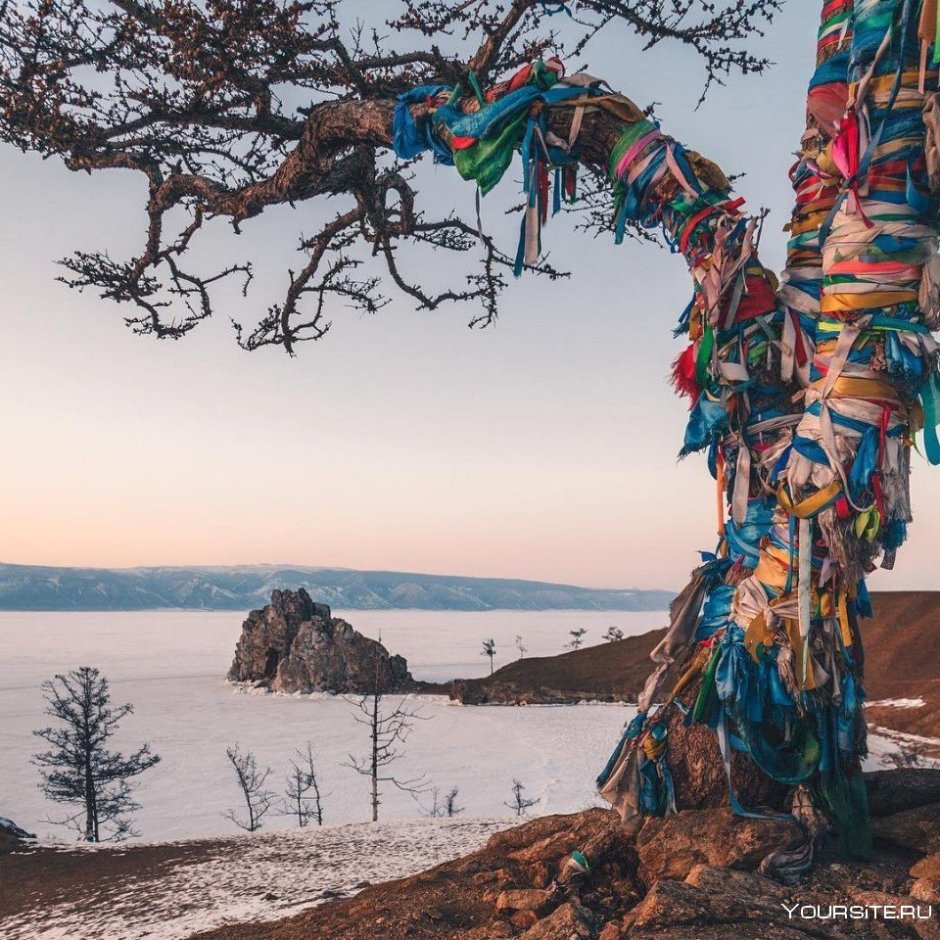 Животные и птицы на Ольхоне